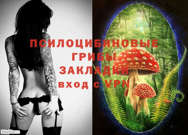 mix Зерноград