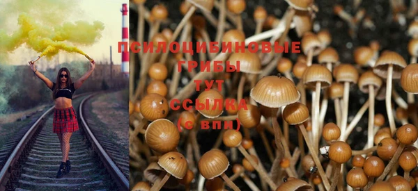 кокаин премиум Зеленодольск