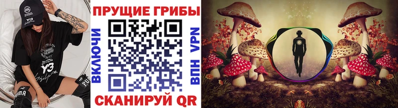 Купить где  Калач-на-Дону  Галлюциногенные грибы прущие грибы 